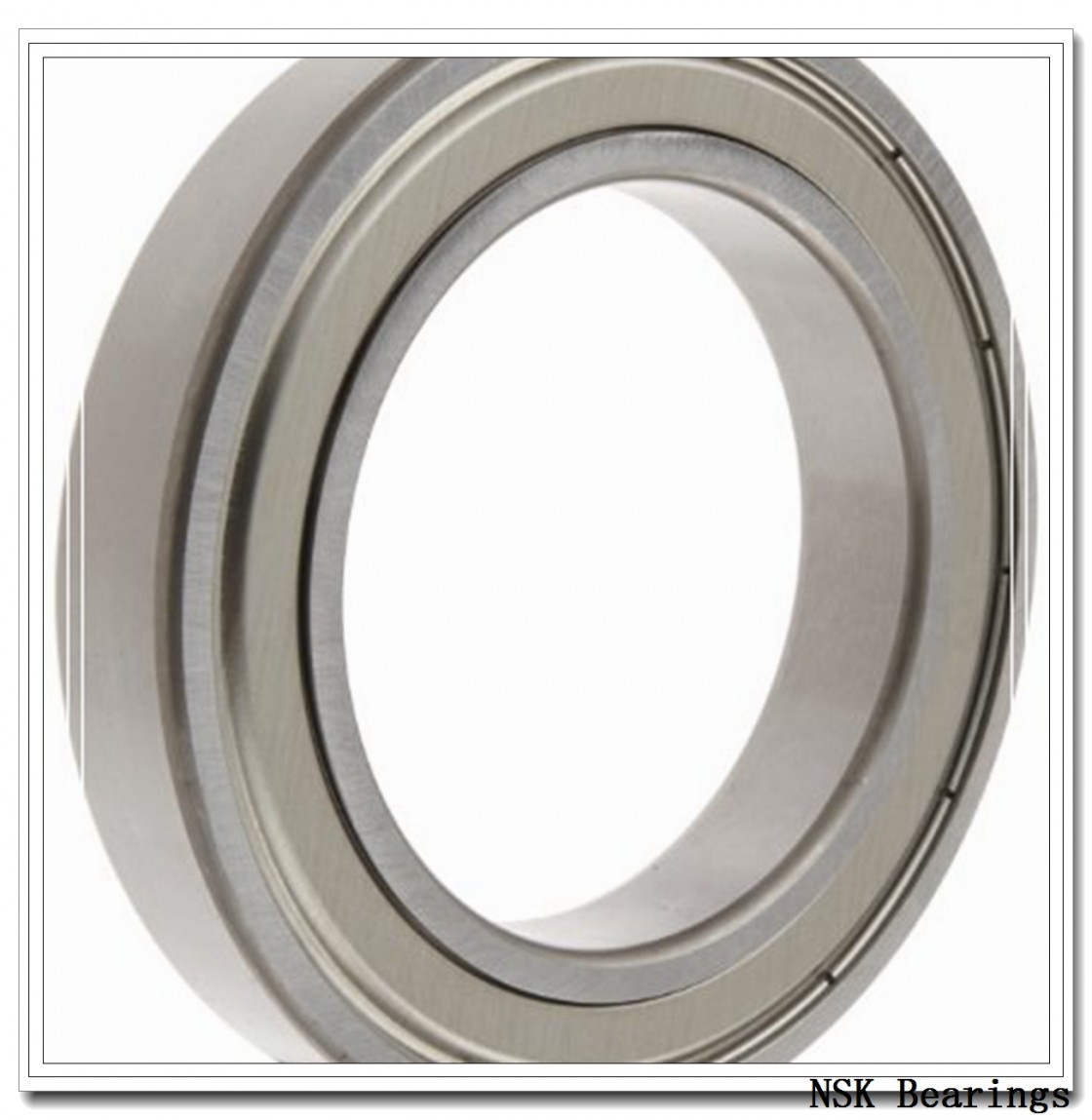 NSK M-2 1/2 51 needle roller bearings